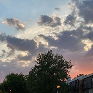 Meet your Posher, Phan anh